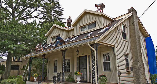 Best Metal Roofing Contractor  in Freeburg, IL