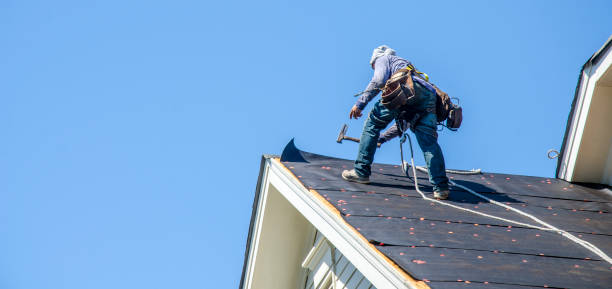 Best Roof Restoration Services  in Freeburg, IL